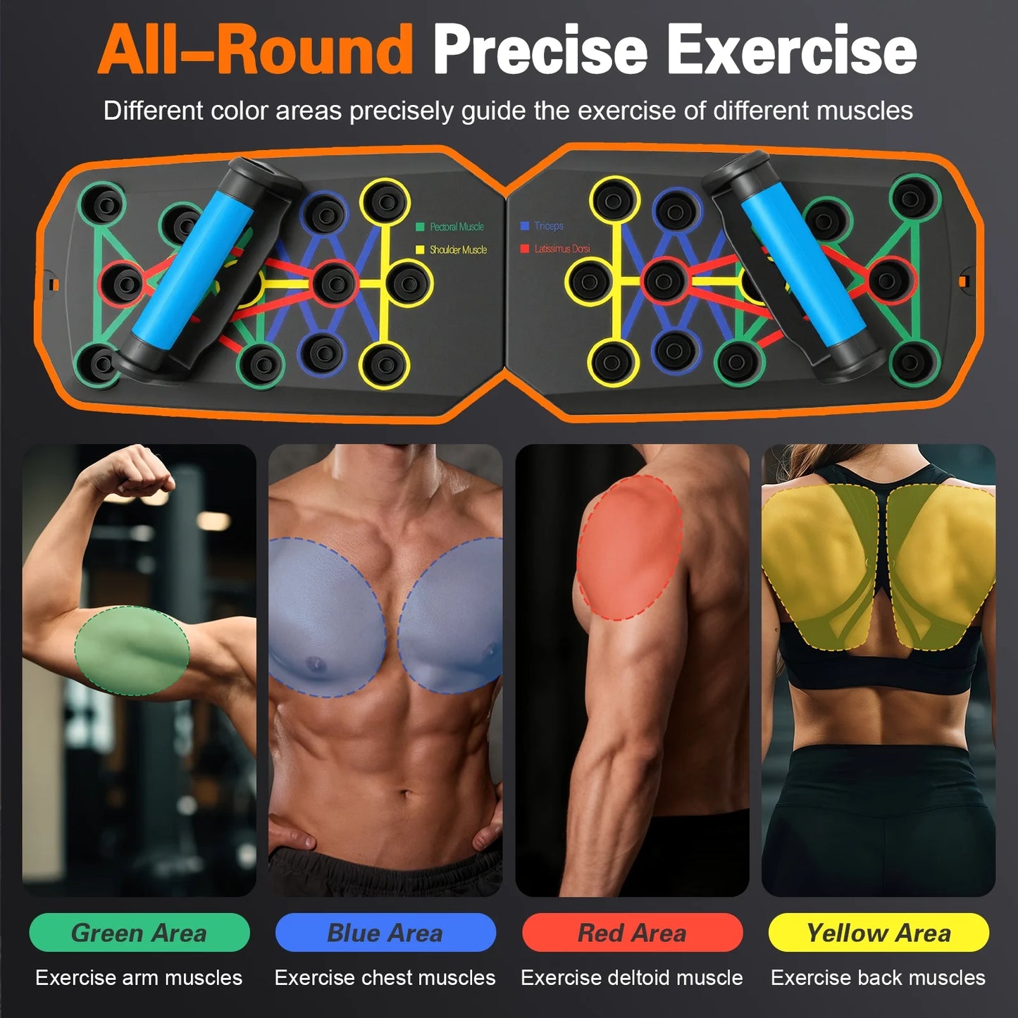 Multifunctional Portable Folding Push-Up Board for Chest and Back Strength Training